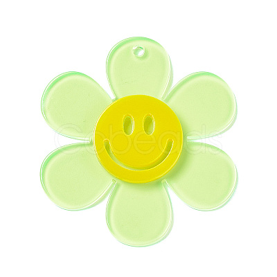 Transparent Acrylic Big Pendants OACR-P012-A04-1