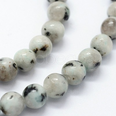 Natural Sesame Jasper/Kiwi Jasper Beads Strands X-G-I199-29-6mm-1