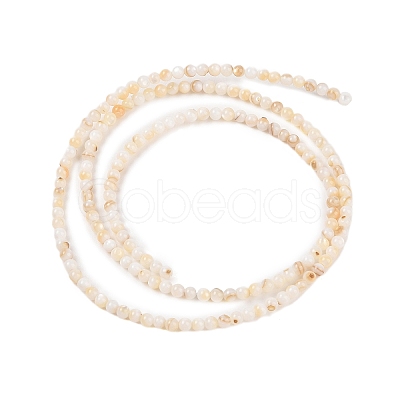 Natural Freshwater Shell Beads Strands X-SHEL-T011-02-4mm-1