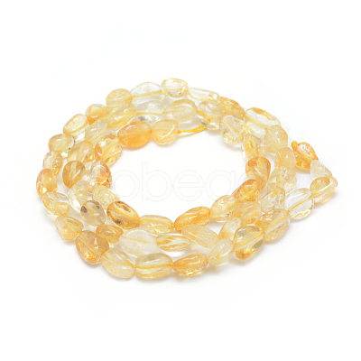 Natural Citrine Beads Strands G-P331-03A-1