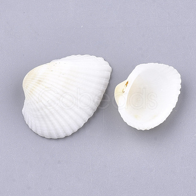 Clam Shell Beads SSHEL-S258-48-1