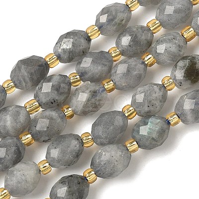 Natural Labradorite Beads Strands G-F809-A47-01-1