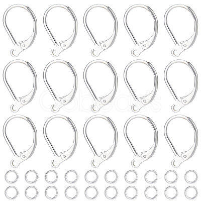 Beebeecraft 20Pcs 2 Style Brass Leverback Earring Findings with Loop DIY-BBC0001-02S-1