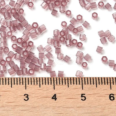 Transparent Glass Seed Beads SEED-S042-21B-03-1