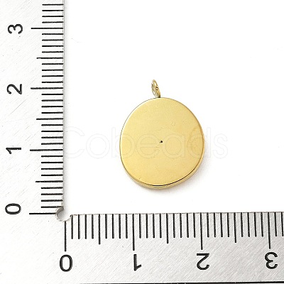 304 Stainless Steel Rhinestone Pendants STAS-I322-27G-05-1