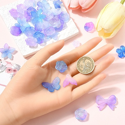 50G Transparent Acrylic Beads OACR-YW0002-44B-1