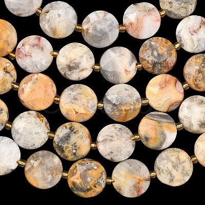 Natural Crazy Agate Beads Strands G-A292-A05-01-1