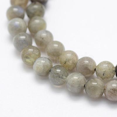 Natural Labradorite Beads Strands G-P322-33-6mm-1