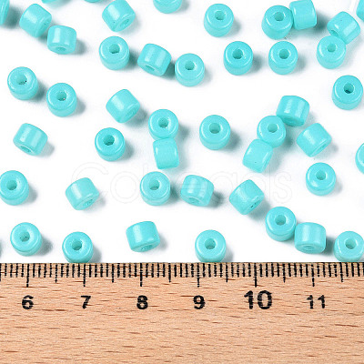 Opaque Baking Paint Glass Seed Beads SEED-T008-02O-1