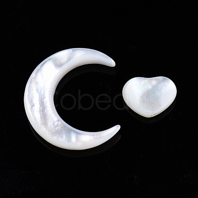 Natural White Shell Beads Sets SSHEL-N032-52B-02-1