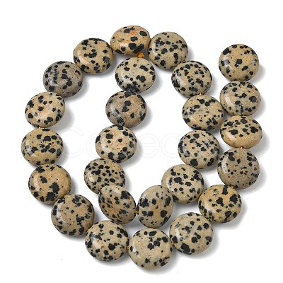 Natural Dalmatian Jasper Beads Strands G-L648-B19-15mm-1