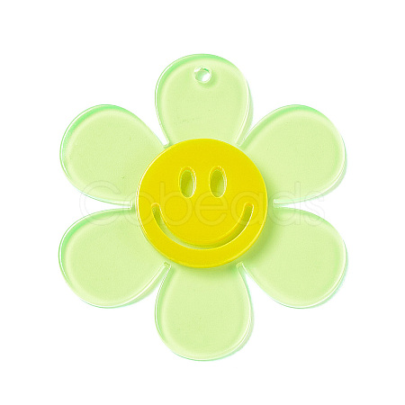 Transparent Acrylic Big Pendants OACR-P012-A04-1