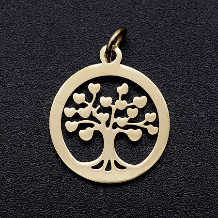 304 Stainless Steel Pendants STAS-T046-JA350-2-1