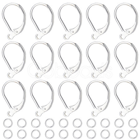 Beebeecraft 20Pcs 2 Style Brass Leverback Earring Findings with Loop DIY-BBC0001-02S-1