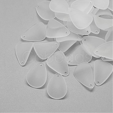Transparent Acrylic Pendants FACR-S027-SB518-1