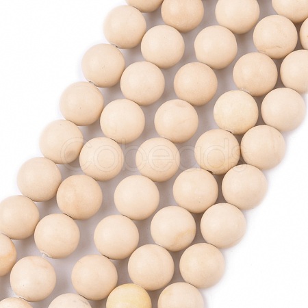 Natural Fossil Beads Strands X-G-E110-10mm-2-1