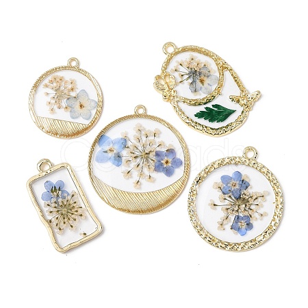 Transparent Resin Pendants RESI-A050-10B-G-1