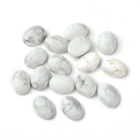 Natural Howlite Cabochons G-A094-01B-60-1