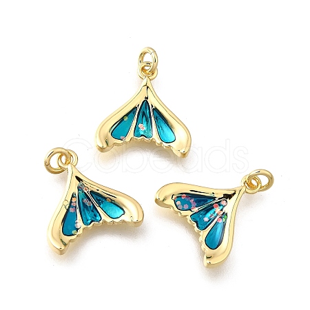 Brass Enamel Charms KK-F899-07G-1