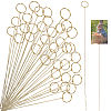 40Pcs Ring Shaped Steel Wire Name Card Clip Holder AJEW-CN0006-50-1