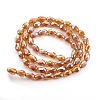 Electroplate Glass Beads Strands EGLA-D015-12x8mm-21-2
