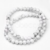 Natural Howlite Beads Strands G-D809-16-6mm-2