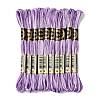 10 Skeins 6-Ply Polyester Embroidery Floss OCOR-K006-A34-1