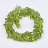 Natural Peridot Beads Strands G-J119-04-2