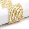 Natural Trochus Shell Beads Strands BSHE-G036-08A-02-1