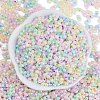 Glass Seed Beads SEED-K010-03M-3