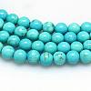 Natural Magnesite Beads Strands TURQ-P027-69-8mm-1