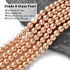 Eco-Friendly Dyed Glass Pearl Round Beads Strands HY-A002-6mm-RB057-3