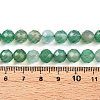Natural Dyed & Heated Agate Beads Strands G-T141-16A-02-5