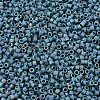 MIYUKI Delica Beads SEED-MY11-DB2316-3