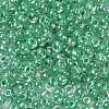 6/0 Glass Seed Beads X-SEED-A015-4mm-2218-2