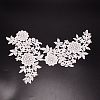 Lace Embroidery Costume Accessories DIY-WH0185-10A-2