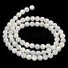 Natural Sea Shell Beads Strands SSHEL-K013-5.5mm-A-4