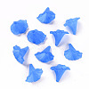 Transparent Acrylic Beads BSF796-C05-4