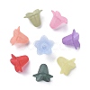 Transparent Acrylic Beads PLF018-2