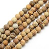 Frosted Natural Picture Jasper Round Bead Strands G-M064-8mm-05-1