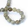 Natural Labradorite Round Bead Strands G-E334-4mm-19-3