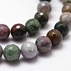 Natural Indian Agate Beads Strands G-G736-31-10mm-3