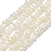 Natural Cultured Freshwater Pearl Beads Strands PEAR-A005-23-01-1