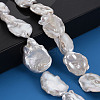 Natural Keshi Pearl Beads Strands PEAR-S020-V01-5