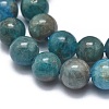Natural Apatite Beads Strands G-I254-08B-3
