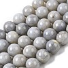 Natural Gemstone Beads Strands G-L641-A01-05-2