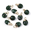 Synthetic Malachite Charms G-N326-58E-1