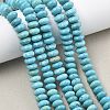 Dyed Natural Magnesite Beads Strands G-B173-A01-01-1