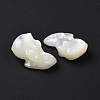 Natural White Shell Beads BSHE-H016-02-4