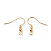 304 Stainless Steel Earring Hooks STAS-T031-17G-1